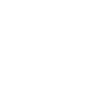 Logo Bois de rose